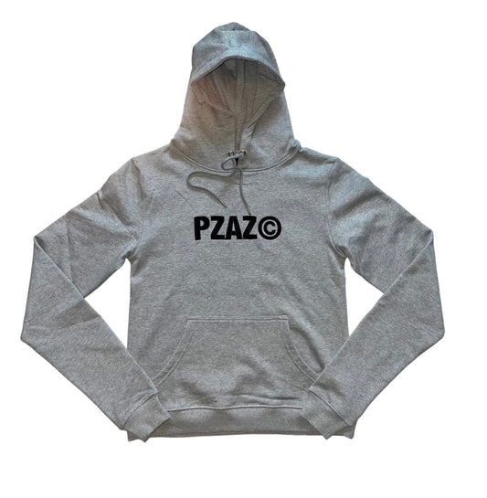 PZAZ Tour Hoodie